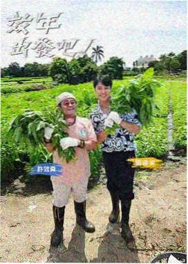 八戒电影网 向往的生活 慢综艺